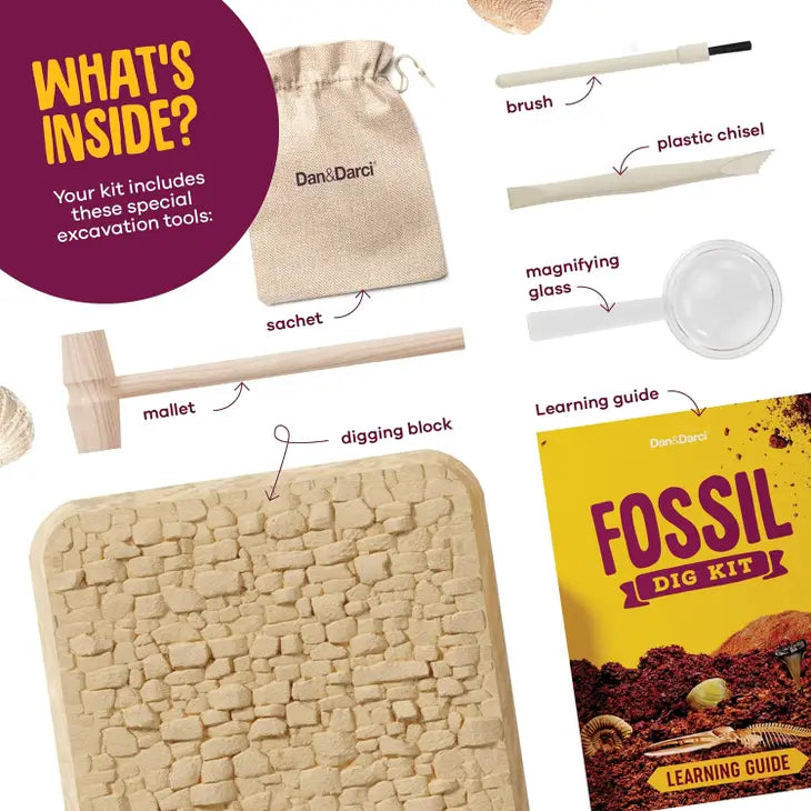 Fossil Dig Kit