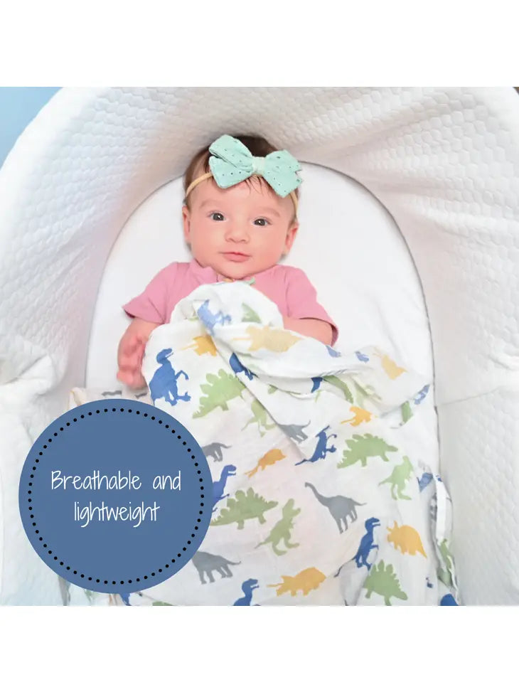 Dinosaur Baby Swaddle Blanket