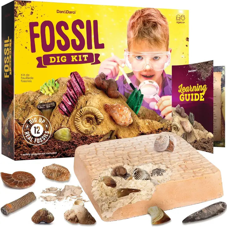 Fossil Dig Kit